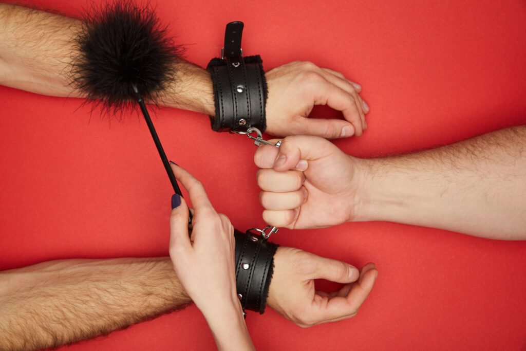 intégrer le BdsmSutra